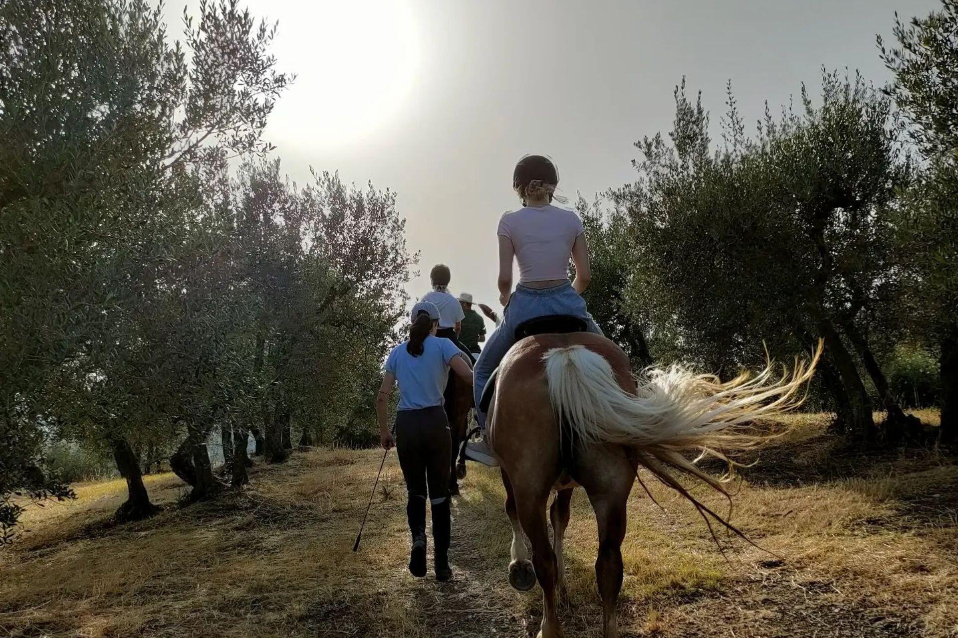 Passeggiata panoramica a cavallo a castiglion fiorentino